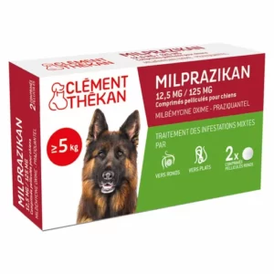 Atidafr - #ConseilSanté Vermifuge chien : protégez votre animal contre les  vers avec Milbemax ! Votre chien est triste ? Il maigrit ? Ne joue plus ?  Votre boule de poil a