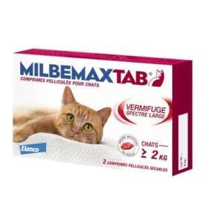 Milbemax pour chat