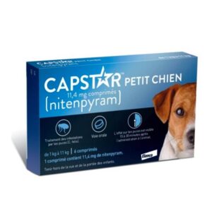 capstar petit chien