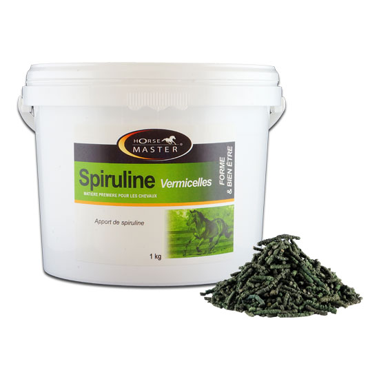 Spiruline vermicelles (1kg)