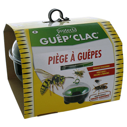 Piège à guêpes